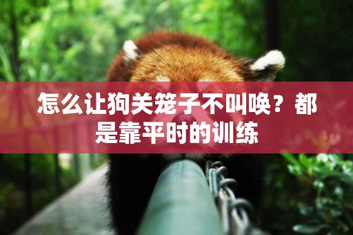 怎么讓狗關籠子不叫喚？都是靠平時的訓練