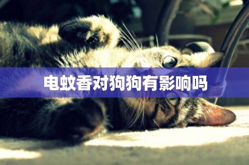電蚊香對狗狗有影響嗎