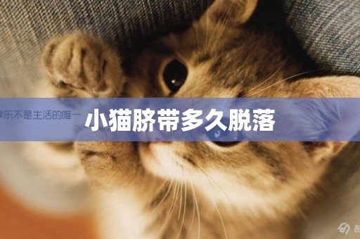 小貓臍帶多久脫落