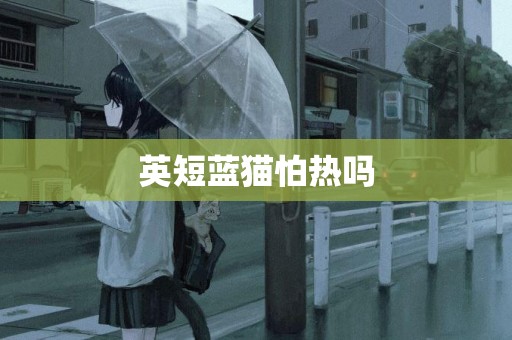 英短藍貓怕熱嗎