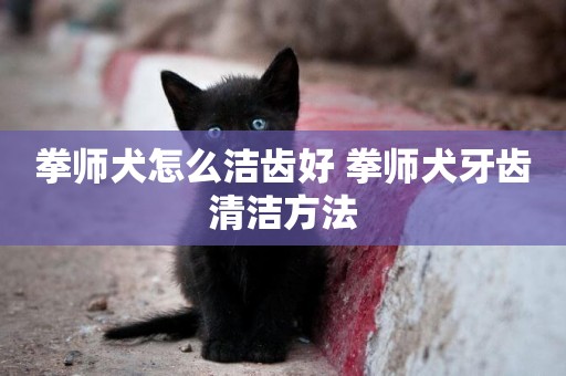 拳師犬怎么潔齒好 拳師犬牙齒清潔方法