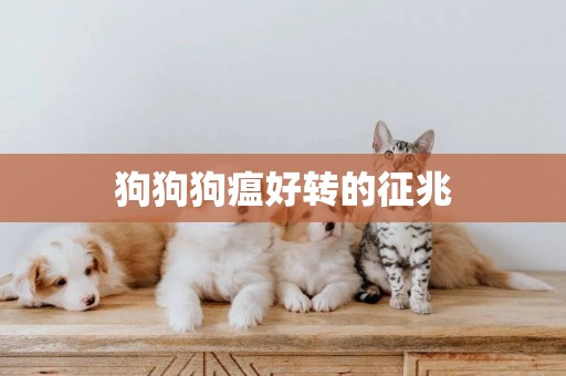 狗狗狗瘟好轉的征兆