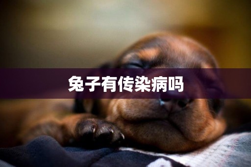 兔子有傳染病嗎