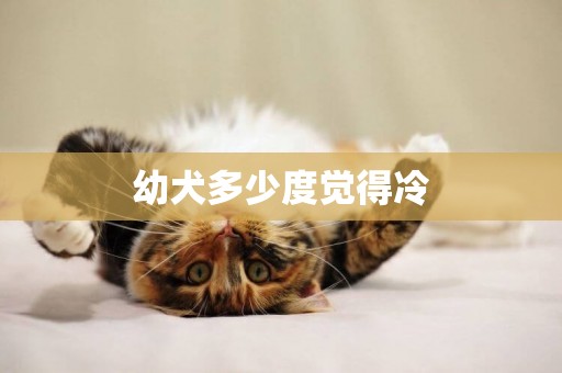 幼犬多少度覺得冷