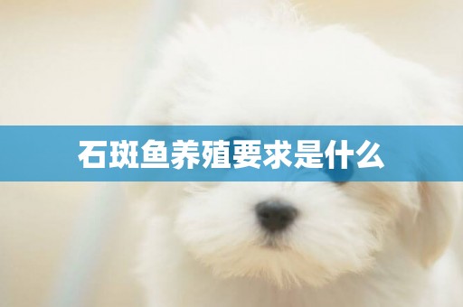 石斑魚養殖要求是什么