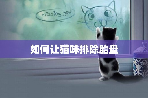 如何讓貓咪排除胎盤