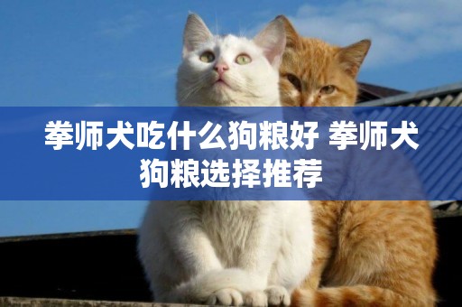 拳師犬吃什么狗糧好 拳師犬狗糧選擇推薦