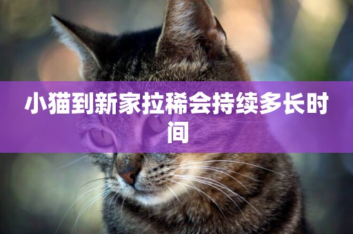 小貓到新家拉稀會持續多長時間
