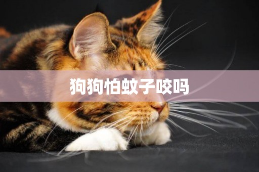狗狗怕蚊子咬嗎
