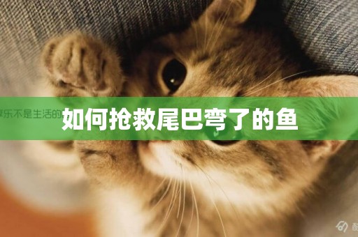 如何搶救尾巴彎了的魚
