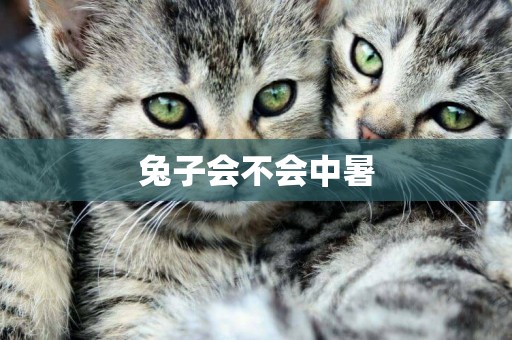 兔子會不會中暑