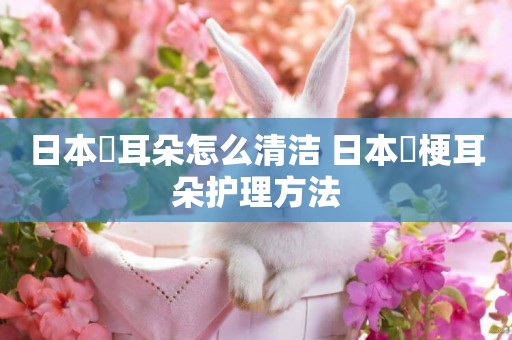 日本狆耳朵怎么清潔 日本狆梗耳朵護理方法