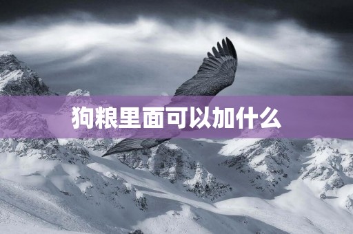 狗糧里面可以加什么