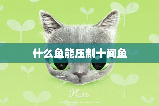 什么魚能壓制十間魚