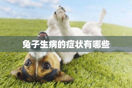 兔子生病的癥狀有哪些