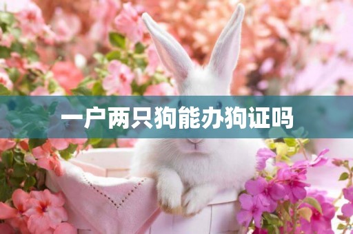 一戶兩只狗能辦狗證嗎