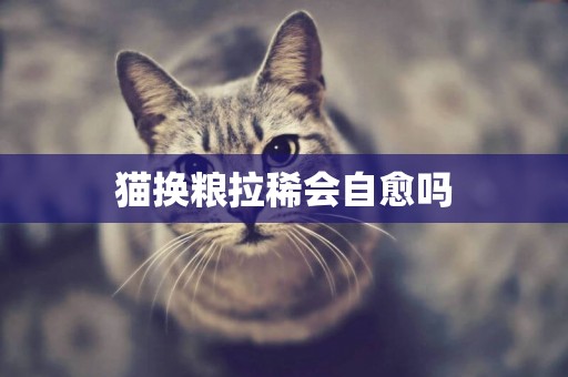貓換糧拉稀會自愈嗎