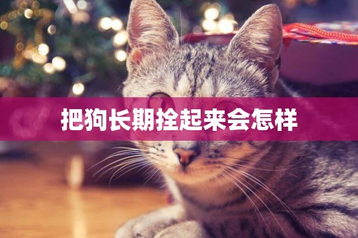 把狗長期拴起來會怎樣