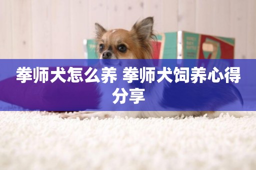 拳師犬怎么養 拳師犬飼養心得分享
