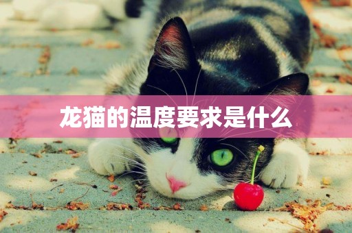 龍貓的溫度要求是什么