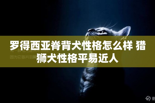 羅得西亞脊背犬性格怎么樣 獵獅犬性格平易近人