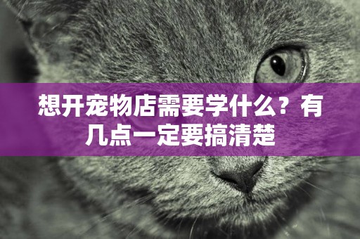想開寵物店需要學什么？有幾點一定要搞清楚