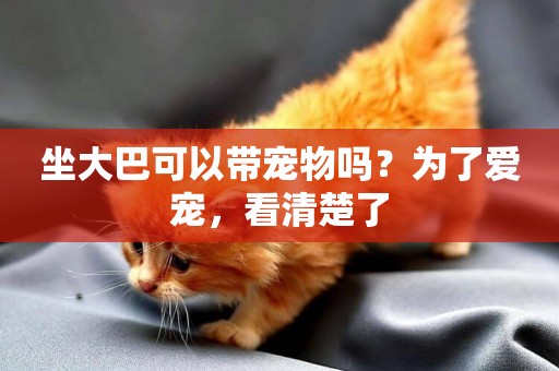坐大巴可以帶寵物嗎？為了愛寵，看清楚了