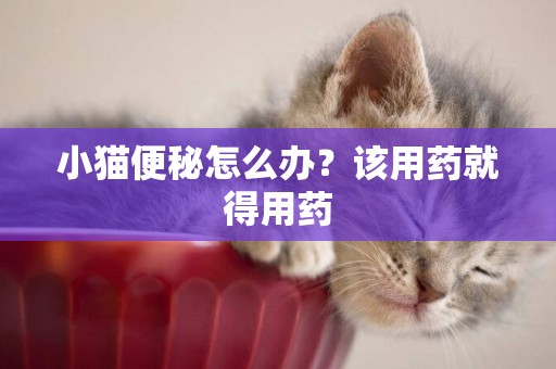 小貓便秘怎么辦？該用藥就得用藥