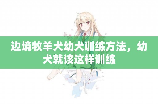 邊境牧羊犬幼犬訓練方法，幼犬就該這樣訓練