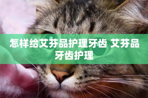 怎樣給艾芬品護理牙齒 艾芬品牙齒護理