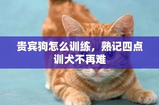 貴賓狗怎么訓練，熟記四點訓犬不再難