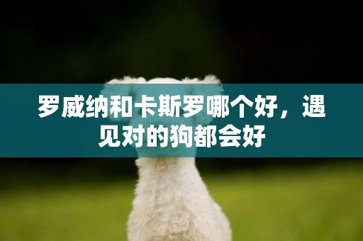 羅威納和卡斯羅哪個好，遇見對的狗都會好