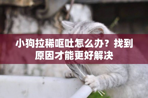 小狗拉稀嘔吐怎么辦？找到原因才能更好解決
