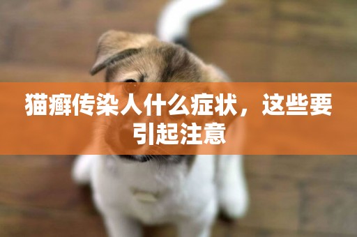 貓癬傳染人什么癥狀，這些要引起注意