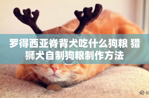羅得西亞脊背犬吃什么狗糧 獵獅犬自制狗糧制作方法