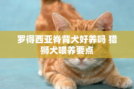 羅得西亞脊背犬好養嗎 獵獅犬喂養要點