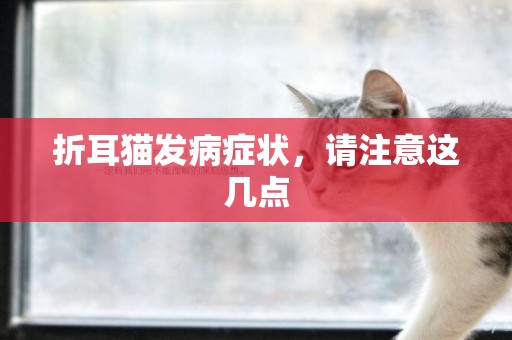 折耳貓發病癥狀，請注意這幾點