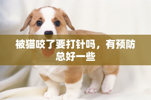 被貓咬了要打針嗎，有預防總好一些