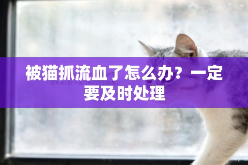 被貓抓流血了怎么辦？一定要及時處理