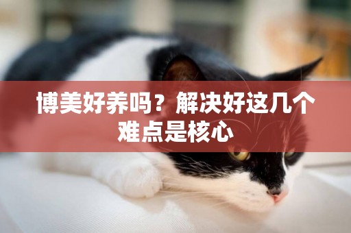 博美好養嗎？解決好這幾個難點是核心
