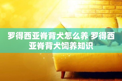 羅得西亞脊背犬怎么養 羅得西亞脊背犬飼養知識