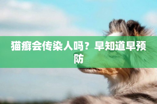 貓癬會傳染人嗎？早知道早預防