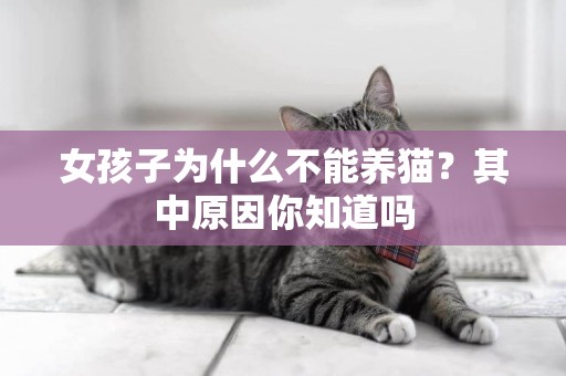 女孩子為什么不能養貓？其中原因你知道嗎