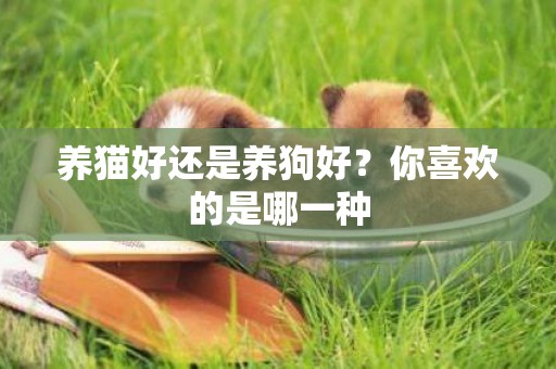 養貓好還是養狗好？你喜歡的是哪一種