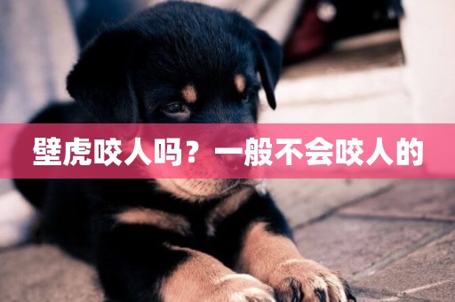 壁虎咬人嗎？一般不會咬人的