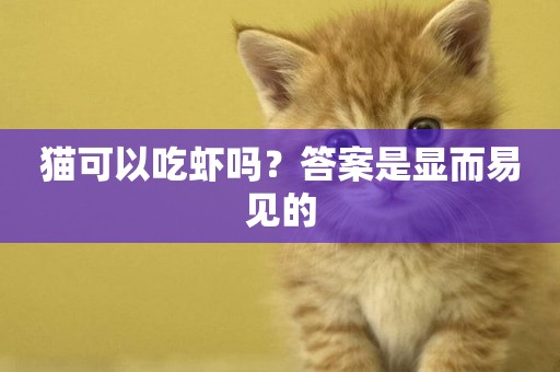 貓可以吃蝦嗎？答案是顯而易見的