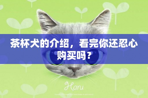 茶杯犬的介紹，看完你還忍心購買嗎？