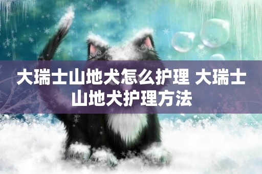 大瑞士山地犬怎么護理 大瑞士山地犬護理方法