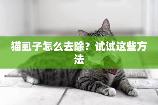 貓虱子怎么去除？試試這些方法