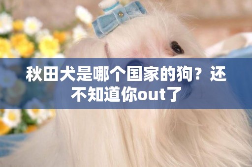 秋田犬是哪個國家的狗？還不知道你out了